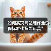 如何实现网站制作全流程标准化智能运营？（图2）