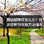 网站被降权怎么办?快速诊断与恢复方法指南(图2) 网站被降权怎么办?快速诊断与恢复方法指南(图2)