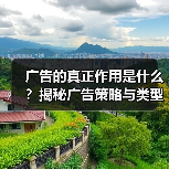 广告的真正作用是什么?揭秘广告策略与类型全解析(图3) 广告的真正作用是什么?揭秘广告策略与类型全解析(图3)