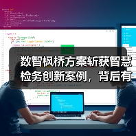 数智枫桥方案斩获智慧检务创新案例，背后有何亮点？（图3）