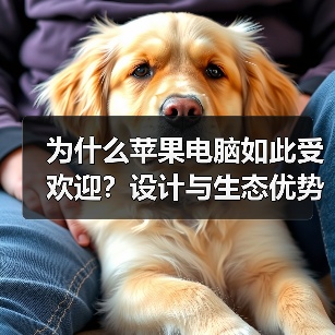 为什么苹果电脑如此受欢迎?设计与生态优势解析(图2) 为什么苹果电脑如此受欢迎?设计与生态优势解析(图2)