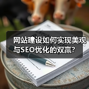 网站建设如何实现美观与SEO优化的双赢？（图4）