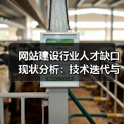 网站建设行业人才缺口现状分析:技术迭代与供需失衡的挑战(图3) 网站建设行业人才缺口现状分析:技术迭代与供需失衡的挑战(图3)