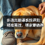多语言翻译系统评测:精准高效,哪家更值得信赖?(图4) 多语言翻译系统评测:精准高效,哪家更值得信赖?(图4)