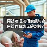 网站建设如何实现与客户管理系统无缝对接?提升效率的关键步骤(图4) 网站建设如何实现与客户管理系统无缝对接?提升效率的关键步骤(图4)