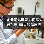企业网站建设为何常失败?揭秘5大致命原因,避免踩坑(图2) 企业网站建设为何常失败?揭秘5大致命原因,避免踩坑(图2)