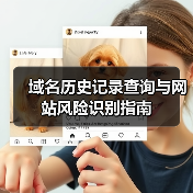 域名历史记录查询与网站风险识别指南(图4) 域名历史记录查询与网站风险识别指南(图4)