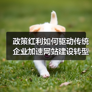 政策红利如何驱动传统企业加速网站建设转型?(图1) 政策红利如何驱动传统企业加速网站建设转型?(图1)
