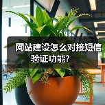 网站建设怎么对接短信验证功能？（图2）