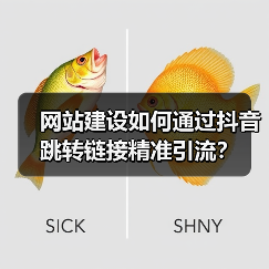 网站建设如何通过抖音跳转链接精准引流?(图2) 网站建设如何通过抖音跳转链接精准引流?(图2)