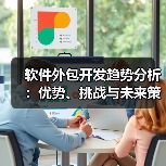 软件外包开发趋势分析：优势、挑战与未来策略（图4）