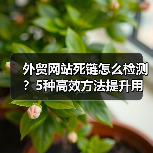 外贸网站死链怎么检测？5种高效方法提升用户体验