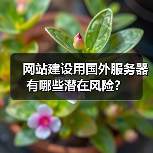 网站建设用国外服务器有哪些潜在风险?(图3) 网站建设用国外服务器有哪些潜在风险?(图3)
