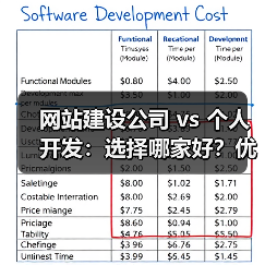 网站建设公司 vs 个人开发:选择哪家好?优缺点全解析(图2) 网站建设公司 vs 个人开发:选择哪家好?优缺点全解析(图2)
