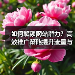 如何解锁网站潜力?高效推广策略提升流量与转化(图2) 如何解锁网站潜力?高效推广策略提升流量与转化(图2)