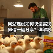 网站建设如何快速实现微信一键分享?详解教程与操作步骤(图3) 网站建设如何快速实现微信一键分享?详解教程与操作步骤(图3)