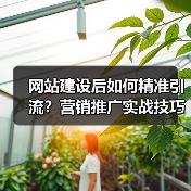 网站建设后如何精准引流?营销推广实战技巧全解析(图4) 网站建设后如何精准引流?营销推广实战技巧全解析(图4)