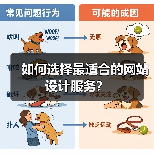如何选择最适合的网站设计服务？（图1）