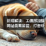 新规解读：工信部加强网站备案监管，打击非法网站（图3）