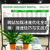 网站加载速度优化全攻略:提速技巧与实战方案(图4) 网站加载速度优化全攻略:提速技巧与实战方案(图4)
