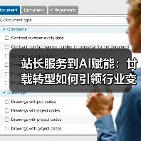 站长服务到AI赋能：廿载转型如何引领行业变革？（图1）