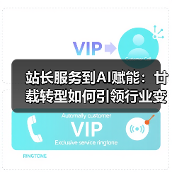 站长服务到AI赋能：廿载转型如何引领行业变革？（图2）
