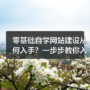 零基础自学网站建设从何入手?一步步教你入门路径(图1) 零基础自学网站建设从何入手?一步步教你入门路径(图1)