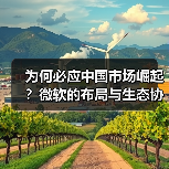 为何必应中国市场崛起？微软的布局与生态协同效应（图1）