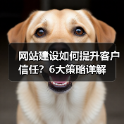 网站建设如何提升客户信任？6大策略详解（图1）