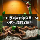 H标签嵌套怎么用？SEO优化结构全解析（图3）