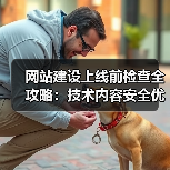 网站建设上线前检查全攻略：技术内容安全优化要点（图2）
