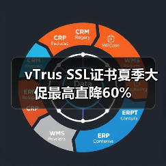 vTrus SSL证书夏季大促最高直降60%（图1）