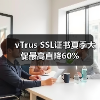 vTrus SSL证书夏季大促最高直降60%（图2）
