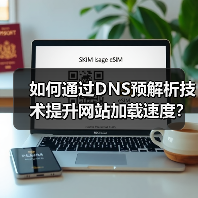 如何通过DNS预解析技术提升网站加载速度？（图2）