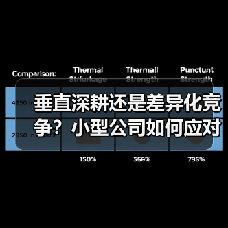 垂直深耕还是差异化竞争？小型公司如何应对行业洗牌？（图3）
