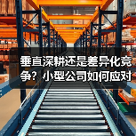 垂直深耕还是差异化竞争？小型公司如何应对行业洗牌？（图4）