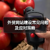 外贸网站建设常见问题及应对策略（图4）