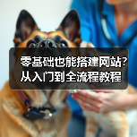零基础也能搭建网站？从入门到全流程教程（图1）