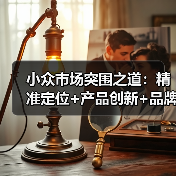 小众市场突围之道：精准定位+产品创新+品牌打造如何实现快速增长？（图2）