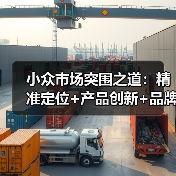 小众市场突围之道：精准定位+产品创新+品牌打造如何实现快速增长？（图3）