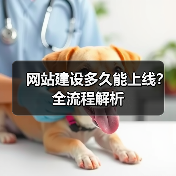网站建设多久能上线？全流程解析（图3）