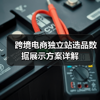 跨境电商独立站选品数据展示方案详解（图2）