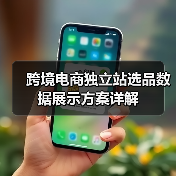 跨境电商独立站选品数据展示方案详解（图3）