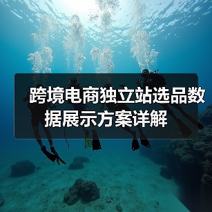跨境电商独立站选品数据展示方案详解（图4）