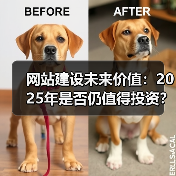 网站建设未来价值：2025年是否仍值得投资？（图2）
