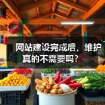 网站建设完成后，维护真的不需要吗？（图4）