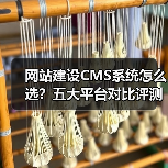 网站建设CMS系统怎么选？五大平台对比评测（图3）