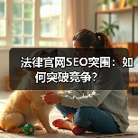 法律官网SEO突围：如何突破竞争？（图4）