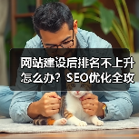 网站建设后排名不上升怎么办？SEO优化全攻略（图3）