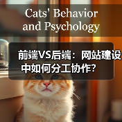 前端VS后端：网站建设中如何分工协作？（图4）